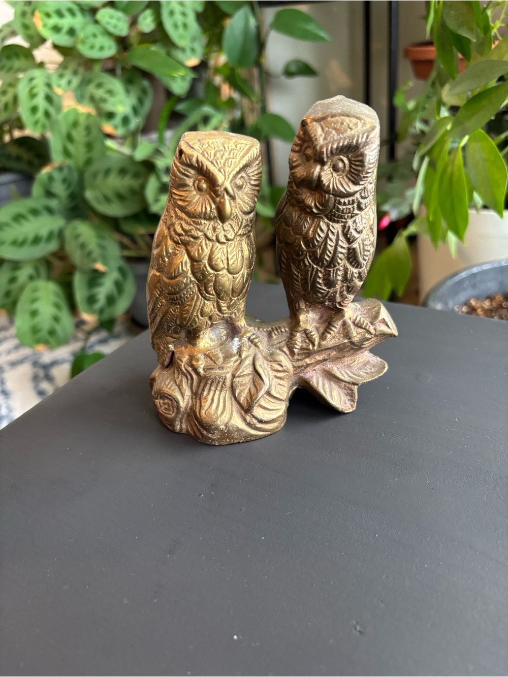Vintage Brass Owls on a branch